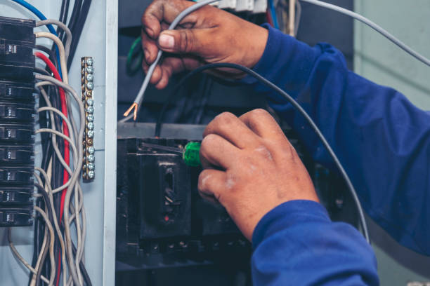 Best Electrical System Inspection  in Locust Grove, GA